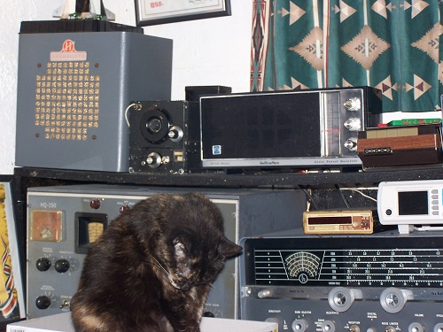 Dale, KA5YEU with cat operating.